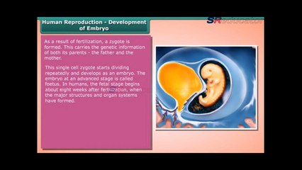 Class 8 Biology Reproduction in animals