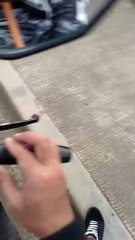 Gutter Cat Doesn't Like Disturbances