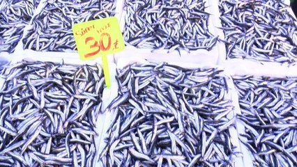 KARADENİZ'DE PALAMUDUN YERİNİ HAMSİ ALDI