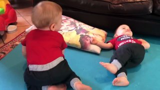 Funny Twin Baby fighter