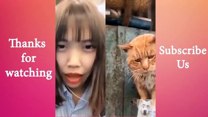 Fluffy Fun Loving  And Funny Animals Compilation #23   Animals Cute and Funny