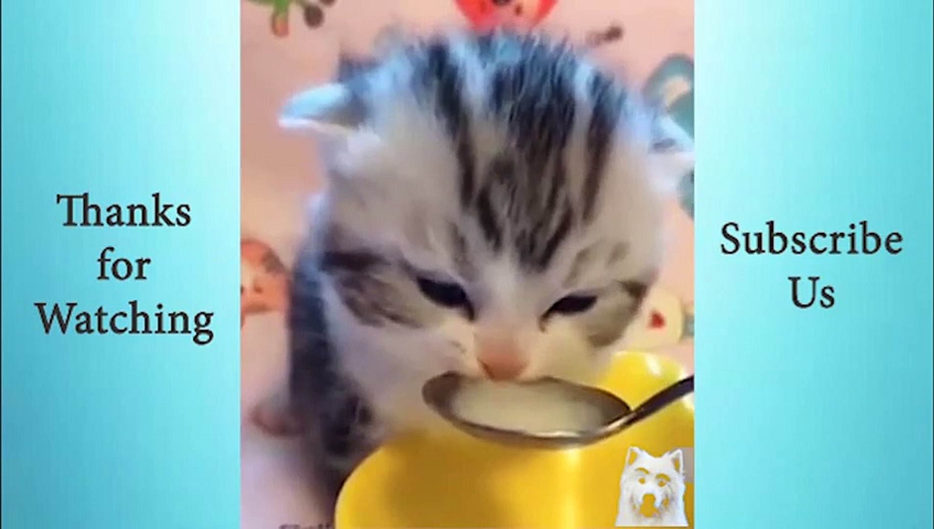 ⁣Adorable Cute Pets And Funny Animals Compilation #17   Animals Cute and Funny