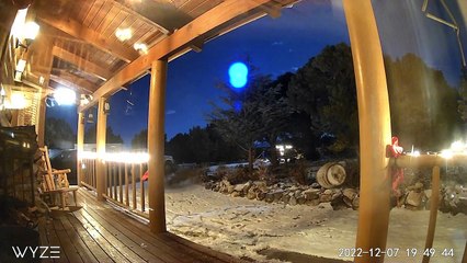 Deer Duke It Out in Front Yard