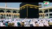 সুরেলা কণ্ঠে কোরআন তেলাওয়াত | পর্ব-৮ | Quran Recitation | Channel i Positive Think Islam