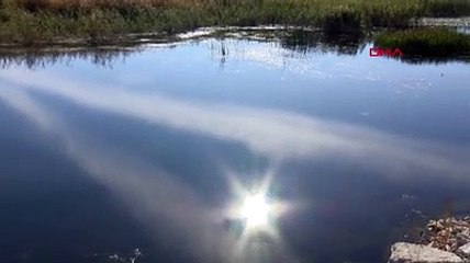 Türkiye'nin cennetiydi, 4 balık türü yok oldu, 6 tür tehdit altında