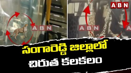 సంగారెడ్డి జిల్లాలో చిరుత కలకలం || Cheetah In Hetero Labs || ABN Telugu