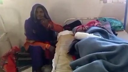 सीधी: महिला पर बाघ ने किया हमला, अस्पताल में ईलाज जारी