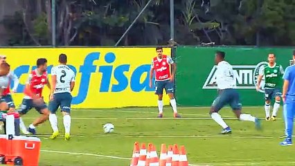 Treino do Palmeiras - 0705