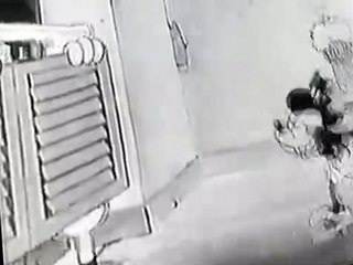 Mickey Mouse Sound Cartoons (1930) - The Cactus Kid