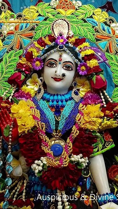 This 49 seconds darshan video can make your life amazing, just watch till end & stay blessed, special for you & your family #darshan #iskcon #video