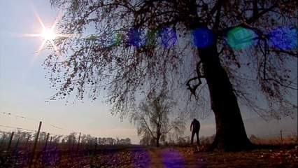 Reserva de Familia - Capitulo 79