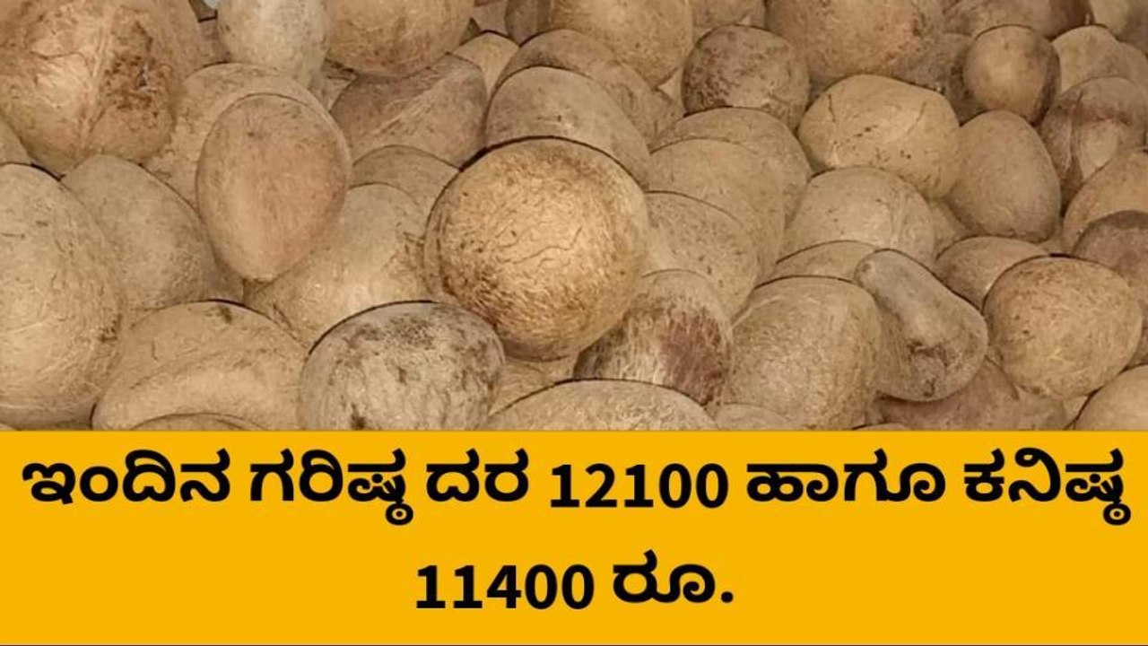 ಕೊಬ್ಬರಿ ಬೆಲೆ 150 ರೂ. ಕುಸಿತ, ಕ್ವಿಂಟಾಲ್ ಕೊಬ್ಬರಿ ಗರಿಷ್ಟ ಬೆಲೆ ಎಷ್ಟು ಗೊತ್ತಾ?