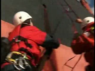 Greenpeace intercepte une cargaison de bois suspecte