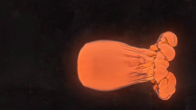 Основные преимущества печей Кузнецова