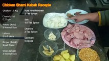Chicken Shami Kabab / Food Fusion / Delicious Meal / Home Made