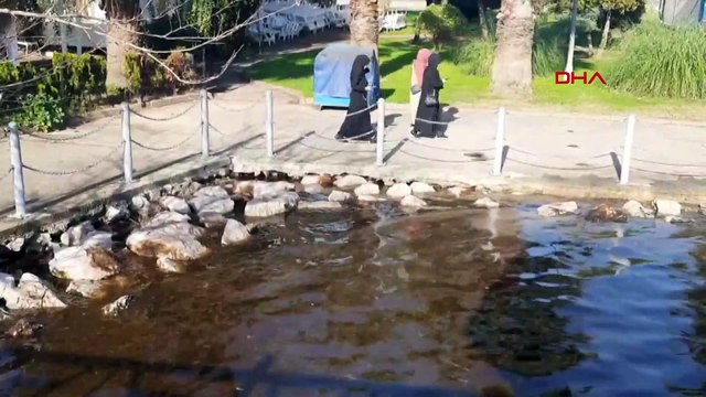 İzmit Körfezi kısmen kahverengiye büründü