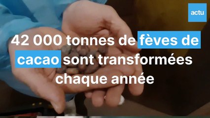 Reportage dans la chocolaterie Cargill du Grand-Quevilly