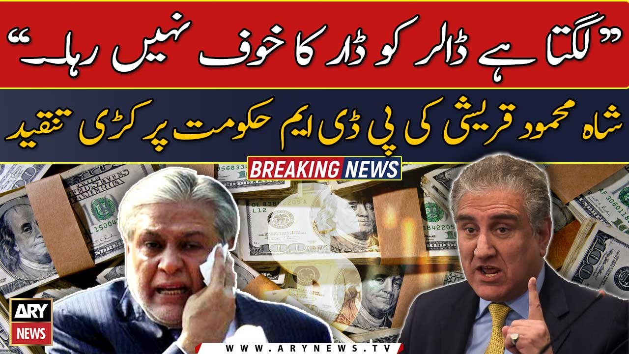 "Lagta hai Dollar ko Dar ka Darr nahi raha..." Shah Mehmood Qureshi
