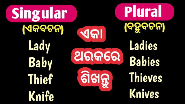 Singular noun and plural nouns/ english grammar