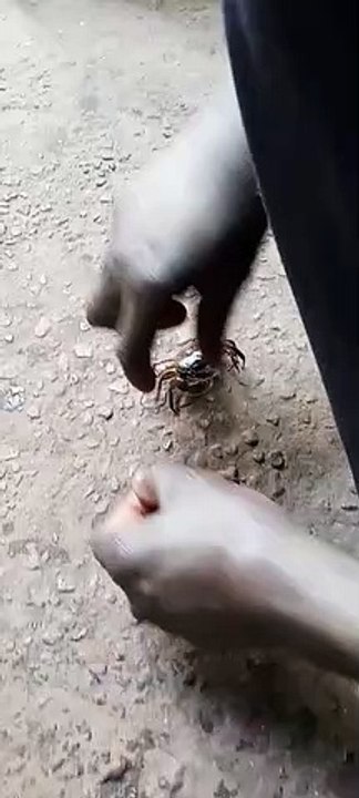 babakèrèkelen - Mouktar_Traoré