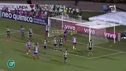 Palmeiras empata com o Bahia no Pacaembu