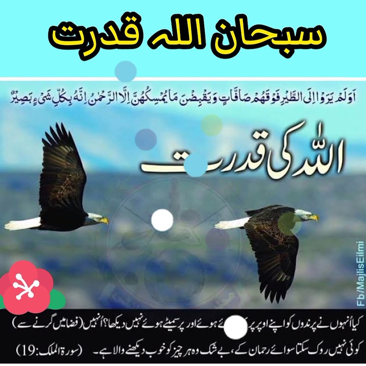 Allah ki qudrat