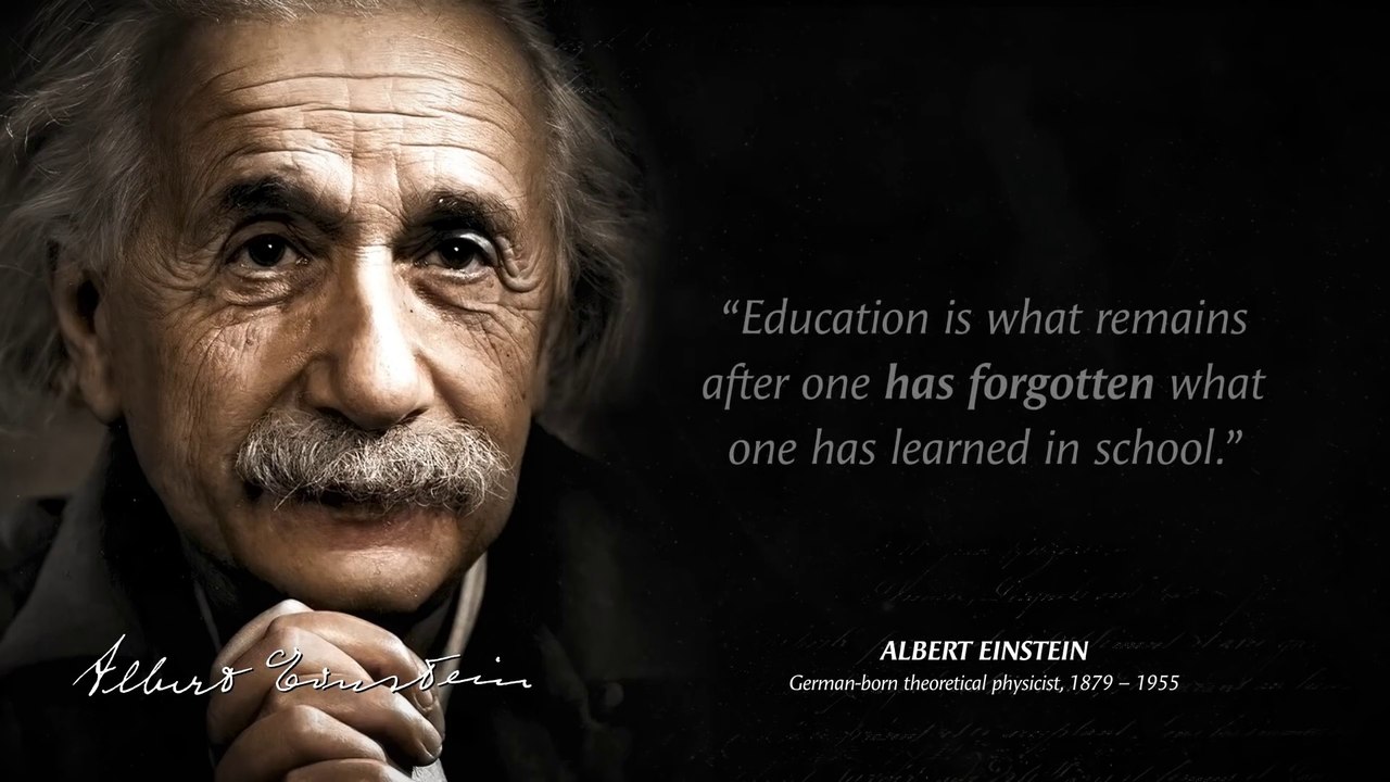 albert einstein quotes about school