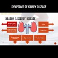 Symptoms of kidney disease