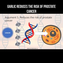 Garlic reduces the risk of prostate cancer