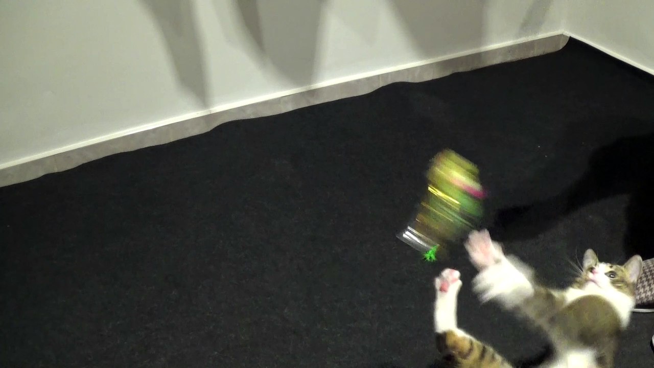 I Love the Feather Wand So Much, that I Ripped off All Its Feathers