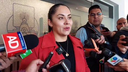 Sentarán denuncia ante la Fiscalía contra diputado masista por violencia de género y política