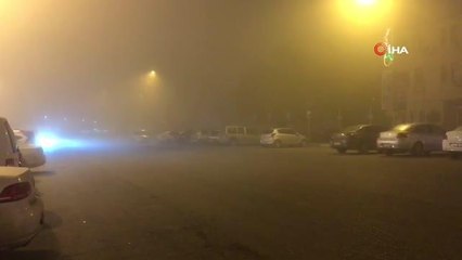 Yoğun sis hayatı felç etti