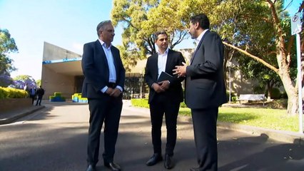 State Labor is calling for an investigation into the appointment of a former Liberal MP, to the Chair of Liverpool City Council