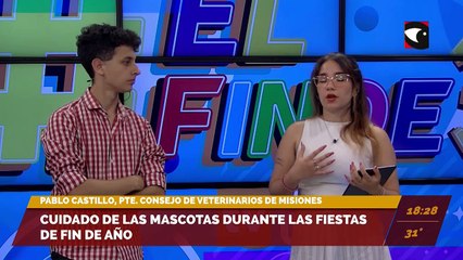 Descargar video: Cuidado de las mascotas durante las fiestas de fin de año