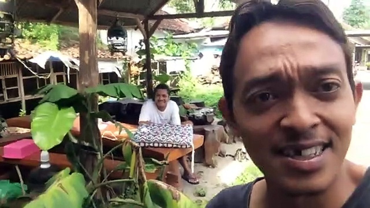 Luwak Mahal di jaminn woowowo