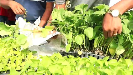 BUSINESSMAN HELPS FARMERS