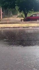 Granizo en La Consulta