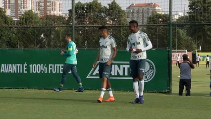 Treino desta sexta do Palmeiras confira imagens
