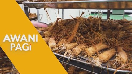 AWANI Pagi: Rahsia Ginseng Merah & Year End Sale Go Shop I 18 Dis 2022