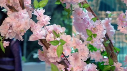 រឿង កំលាំងទេពវិមានឋានសួគ៌ ភាគទី26