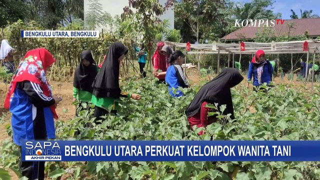 Untuk Meningkatkan Ketahanan Pangan, Bengkulu Utara Perkuat Kelompok Wanita Tani