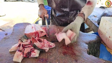 Amazing ! Best Fish Slicer You Will Ever See