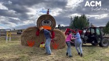 Adelong farmers embrace the Christmas spirit | The Daily Advertiser | 18.12.22