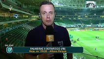 Médicos do Palmeiras explicam caso de doping do volante Arouca