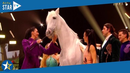 "C'est une blague ?", "Scandaleux"... Les internautes en colère après l'apparition d'un cheval sur l