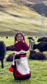 Bé gái Tây Tạng gây bão vì quá xinh: Cặp má đỏ hây hây rực rỡ như hoa