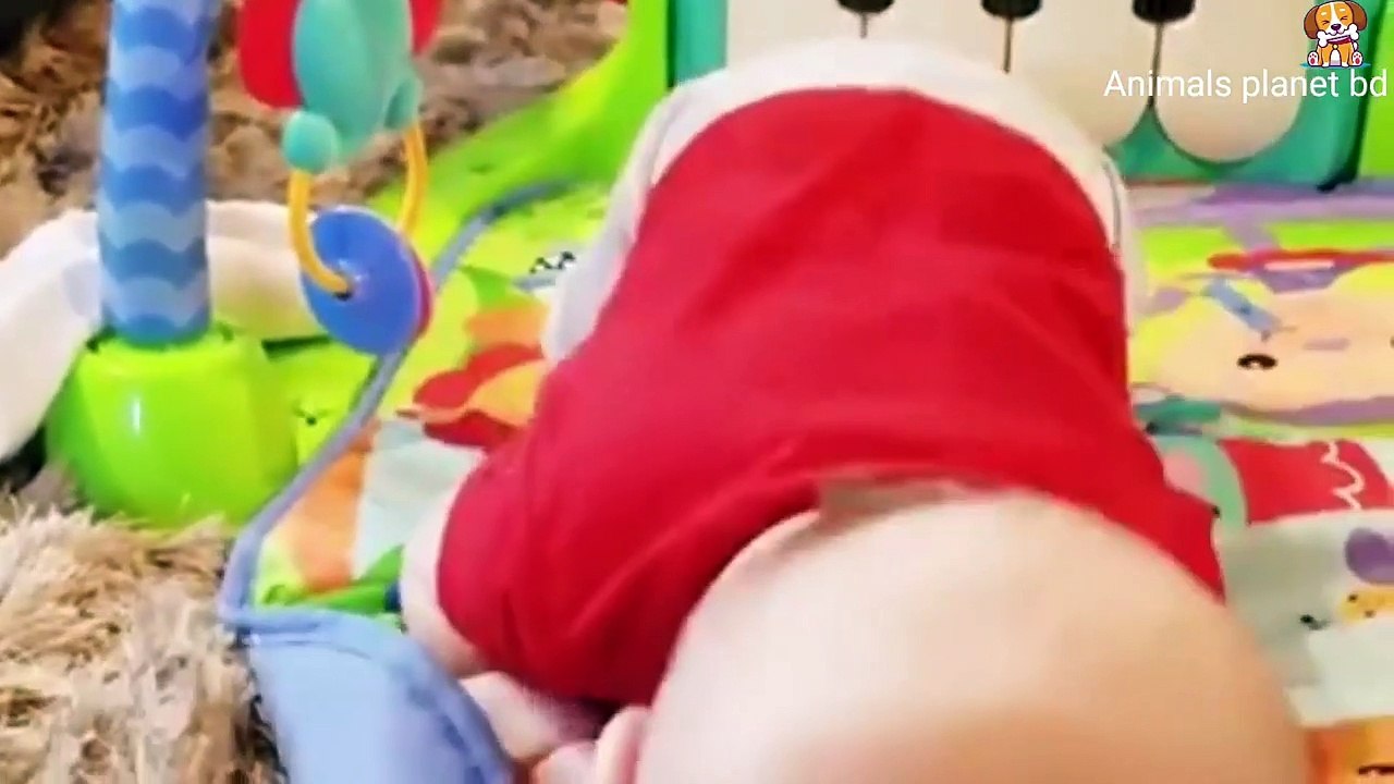 Funny cat and baby video।। Cute and  funny cat video. (2)