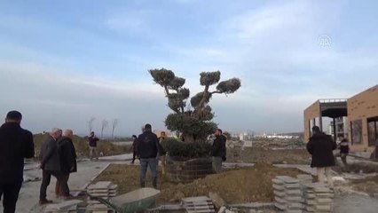 Lapseki'de millet bahçesi çalışmaları devam ediyor