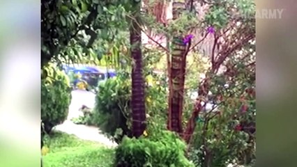 Funny and Weird Weather _ Best Nature Fails _