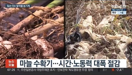 농촌 일손 걱정 뚝…밭작물 전용 농기계 속속 개발